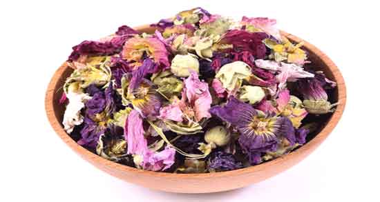 خواص گل ختمی و پونه ؛ خاصیت درمانی استفاده از ترکیب گل ختمی و پونه خواص گل ختمی و پونه ؛ خاصیت درمانی استفاده از ترکیب گل ختمی و پونه