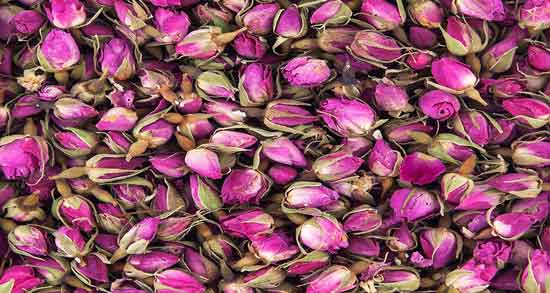 خواص گل محمدی برای عفونت زنان و خاصیت مصرف گل محمدی برای درمان عفونت زنان خواص گل محمدی برای عفونت زنان ؛ خاصیت مصرف گل محمدی برای درمان عفونت زنان