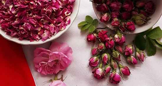 خواص گل محمدی خشک با ماست و در چای سیاه + خواص دمنوش گل محمدی خواص گل محمدی ؛ خشک با ماست و در چای سیاه + خواص دمنوش گل محمدی