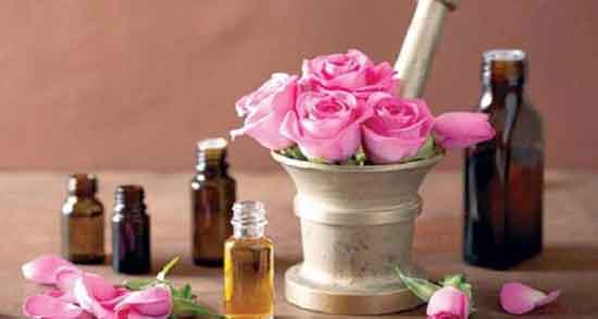 خواص گل محمدی و گلاب ؛ درمان بیماری ها با استفاده از ترکیب گل محمدی و گلاب خواص گل محمدی و گلاب ؛ درمان بیماری ها با استفاده از ترکیب گل محمدی و گلاب