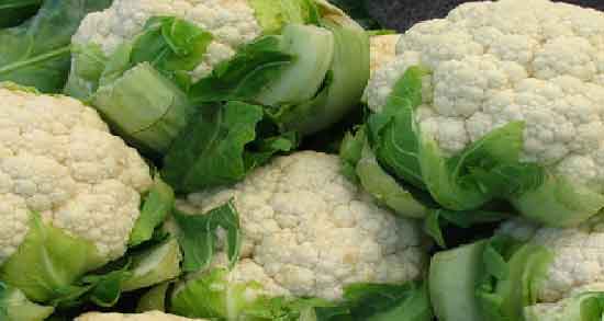 خواص گل کلم برای قناری ؛ فواید استفاده از گل کلم به عنوان غذای قناری خواص گل کلم برای قناری ؛ فواید استفاده از گل کلم به عنوان غذای قناری