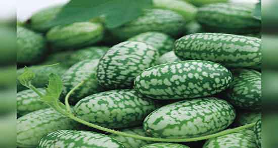 خیار سبز برای پوست ؛ ایا ماسک خیار سبز برای تقویت پوست مفیده