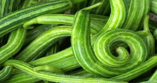 خیار چنبر مال کجاست ؛ همه چیز درباره خیار چنبر