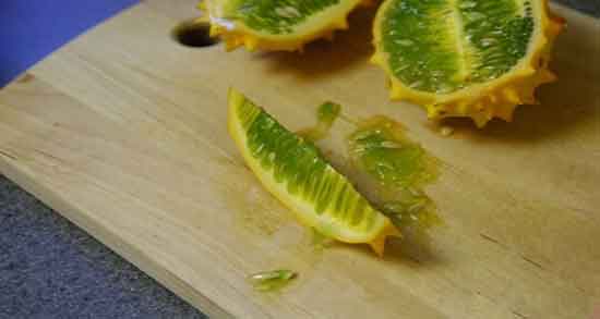 در مورد خربزه شاخدار و چه چیزهایی را باید در مورد خربزه شاخدار بدانیم در مورد خربزه شاخدار ؛ چه چیزهایی را باید در مورد خربزه شاخدار بدانیم