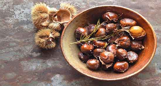 درخت شاه بلوط ؛ درخت شاه بلوط در چند سالگی میوه می دهد درخت شاه بلوط ؛ درخت شاه بلوط در چند سالگی میوه می دهد