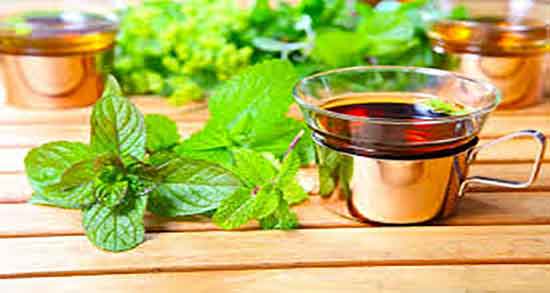 دمنوش بادرنجبویه و بابونه ؛ دستور مصرف بادرنجبویه و بابونه برای بدن دمنوش بادرنجبویه و بابونه ؛ دستور مصرف بادرنجبویه و بابونه برای بدن