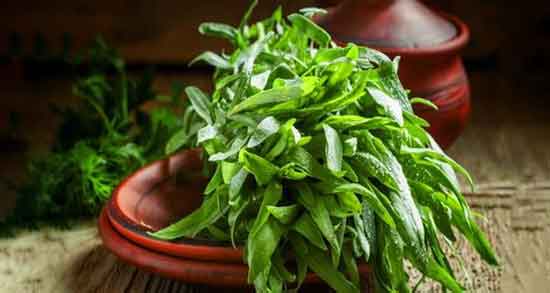 دمنوش ترخون برای لاغری ؛ خاصیت دمنوش ترخون برای لاغری بدن دمنوش ترخون برای لاغری ؛ خاصیت دمنوش ترخون برای لاغری بدن