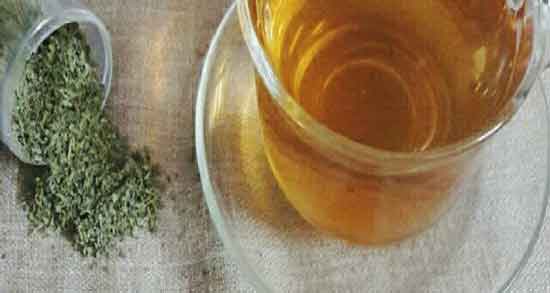 دمنوش چای کوهی و پونه ؛ خاصیت درمانی و دارویی دمنوش چای کوهی و پونه