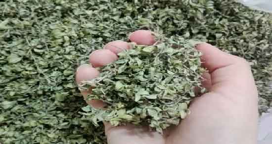 دمنوش چای کوهی و کاکوتی ؛ بررسی خواص مصرف دمنوش چای کوهی و کاکوتی برای سلامتی