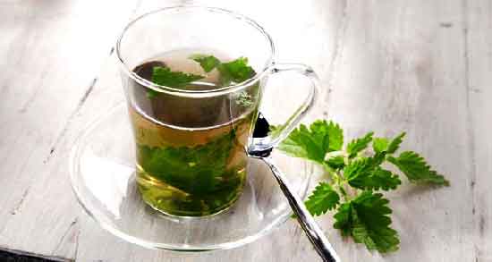 دمنوش گزنه در دوران قاعدگی ؛ خاصیت مصرف برای کاهش درد قاعدگی