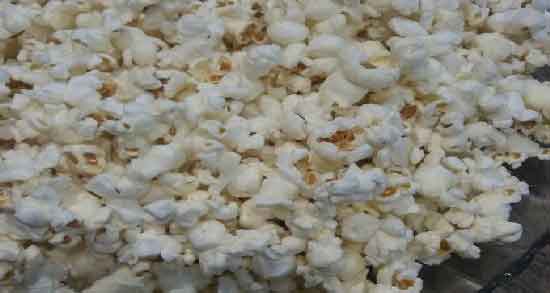 ذرت بو داده برای گربه و آیا می توان به گربه ذرت بو داده داد؟ ذرت بو داده برای گربه ؛ آیا می توان به گربه ذرت بو داده داد؟