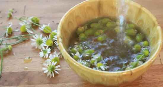 روش استفاده از گل بابونه برای پوست ؛ طرز استفاده از ماسک گل بابونه برای پوست روش استفاده از گل بابونه برای پوست ؛ طرز استفاده از ماسک گل بابونه برای پوست