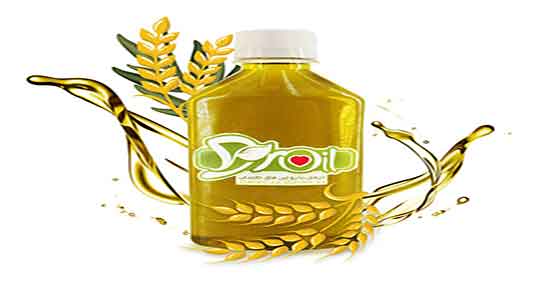 روش تهیه روغن جوانه گندم خانگی ؛ دستور تهیه روغن جوانه گندم در منزل