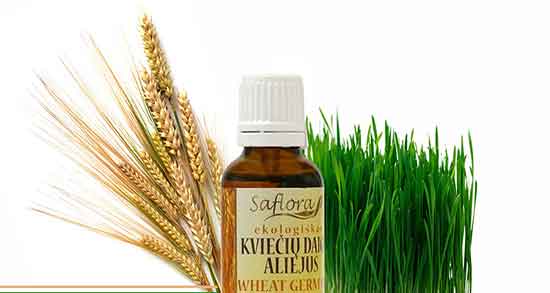 روغن جوانه گندم برای جوش صورت ؛ خواص روغن جوانه گندم برای جوش روغن جوانه گندم برای جوش صورت ؛ خواص روغن جوانه گندم برای جوش