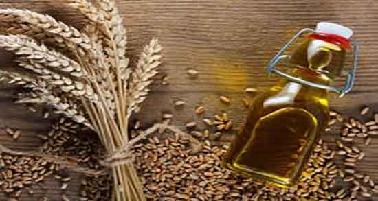 روغن جوانه گندم برای لک صورت ؛ روغن جوانه گندم برای لک های صورت روغن جوانه گندم برای لک صورت ؛ روغن جوانه گندم برای لک های صورت