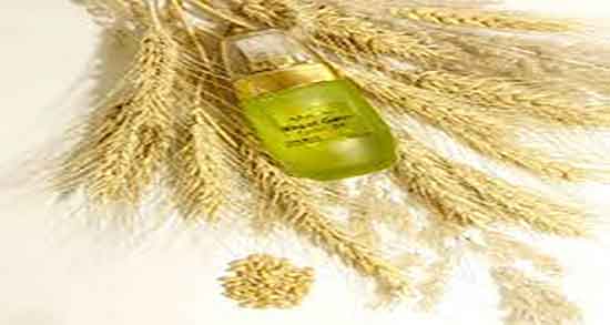 روغن جوانه گندم و چاقی صورت ؛ جوانه گندم و ماست برای چاقی صورت