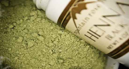 روغن زیتون و حنا برای مو ؛ از بین بردن خشکی مو با روغن زیتون و حنا