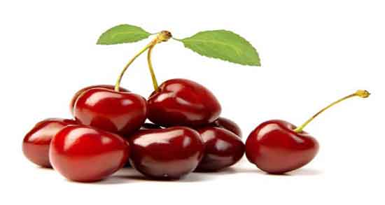 روغن هسته آلبالو برای پوست چرب ؛ روغن هسته آلبالو برای پوست صورت روغن هسته آلبالو برای پوست چرب ؛ روغن هسته آلبالو برای پوست صورت