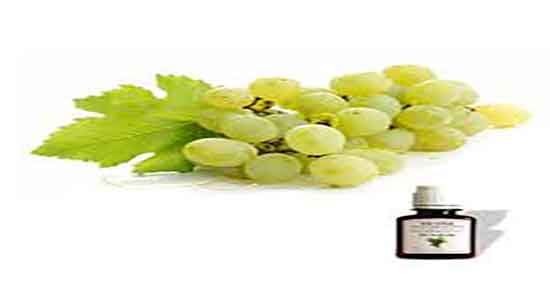 روغن هسته انگور برای چی خوبه ؛ روغن هسته انگور برای دور چشم خوبه روغن هسته انگور برای چی خوبه ؛ روغن هسته انگور برای دور چشم خوبه