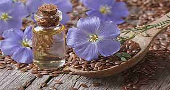 روغن کتان و مو ؛ خواص روغن کتان برای زیبایی پوست و تقویت ریشه مو روغن کتان و مو ؛ خواص روغن کتان برای زیبایی پوست و تقویت ریشه مو