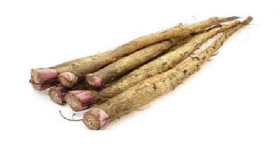 ریشه زرشک برای تب مالت ؛ خاصیت دارویی ریشه زرشک برای درمان تب مالت