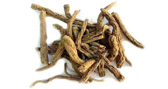 ریشه زرشک برای سنگ کلیه ؛ فواید مصرف ریشه زرشک برای از بین بردن سنگ کلیه