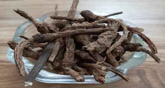 ریشه زرشک برای کیست تخمدان ؛ ریشه زرشک به عنوان داروی گیاهی مفید برای کیست تخمدان