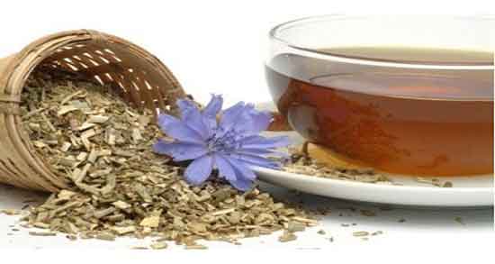 ریشه کاسنی برای رحم ؛ طریقه مصرف ریشه کاسنی برای رحم زنان ریشه کاسنی برای رحم ؛ طریقه مصرف ریشه کاسنی برای رحم زنان