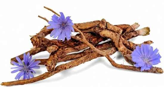 ریشه کاسنی برای کبد چرب ؛ خواص ریشه کاسنی برای برای کبد چرب ریشه کاسنی برای کبد چرب ؛ خواص ریشه کاسنی برای برای کبد چرب