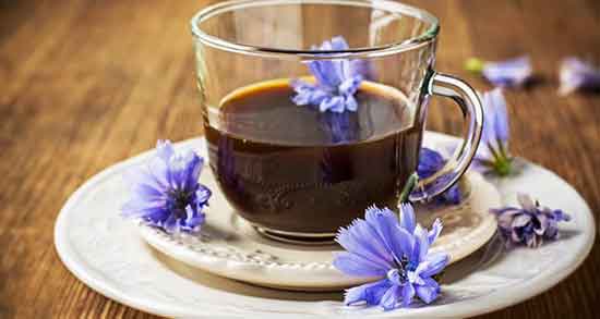 ریشه کاسنی و تعیین جنسیت ؛ خوردن ریشه کاسنی برای دختر دار شدن ریشه کاسنی و تعیین جنسیت ؛ خوردن ریشه کاسنی برای دختر دار شدن