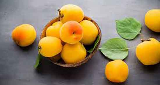 زردآلو برای بارداری و فواید مصرف هسته زردآلو برای جنین زنان باردار زردآلو برای بارداری ؛ فواید مصرف هسته زردآلو برای جنین زنان باردار