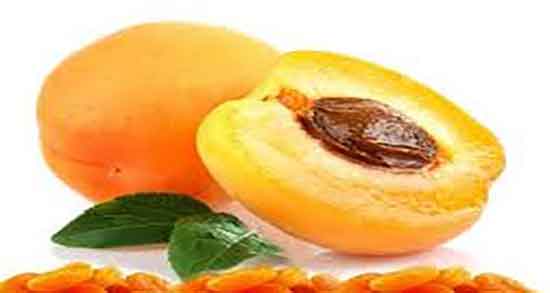 زردآلو در طب سنتی و خواص مصرف هسته زردآلو از نظر طب سنتی زردآلو در طب سنتی ؛ خواص مصرف هسته زردآلو از نظر طب سنتی