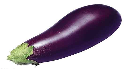 سر بادمجان کجاست ؛ جوشانده سر کلاهک بادمجان برای دیابت سر بادمجان کجاست ؛ جوشانده سر کلاهک بادمجان برای دیابت