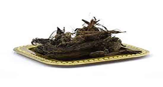 سنبل الطیب در بارداری ؛ خوردن سنبل الطیب در دوران بارداری زنان سنبل الطیب در بارداری ؛ خوردن سنبل الطیب در دوران بارداری زنان