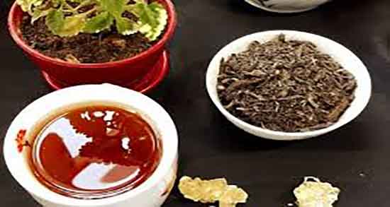 سنبل الطیب و تپش قلب ؛ خاصیت سنبل الطیب برای درمان تپش قلب سنبل الطیب و تپش قلب ؛ خاصیت سنبل الطیب برای درمان تپش قلب