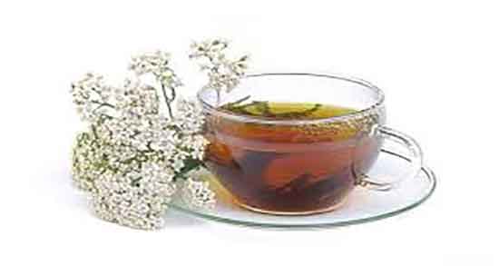 سنبل الطیب و فشار خون و خاصیت گل گاوزبان و سنبل الطیب و فشار خون سنبل الطیب و فشار خون ؛ خاصیت گل گاوزبان و سنبل الطیب و فشار خون