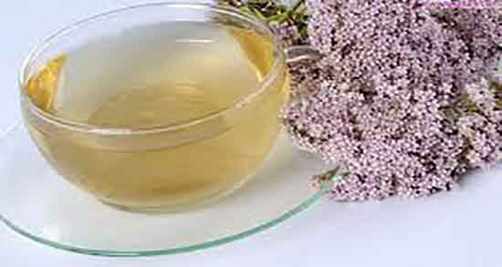 سنبل الطیب و قند خون ؛ ایا سنبل الطیب برای کنترل قند خون مفیده