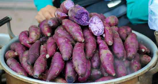 سیب زمینی بنفش تراریخته است ؛ همه چیز درباره سیب زمینی بنفش