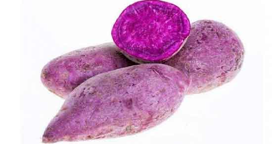 سیب زمینی بنفش در ایران ؛ در کدام مناطق ایران سیب زمینی بنفش کاشته می شود؟