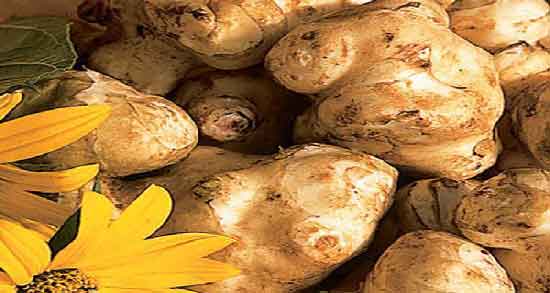 سیب زمینی ترشی و دیابت ؛ تاثیر مصرف سیب زمینی ترشی برای تنظیم قند خون