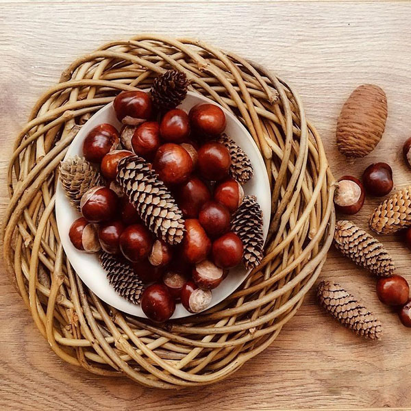 شاه بلوط برای اسپرم ؛ تقویت اسپرم اقایان با خوردن شاه بلوط تازه شاه بلوط برای اسپرم ؛ تقویت اسپرم اقایان با خوردن شاه بلوط تازه