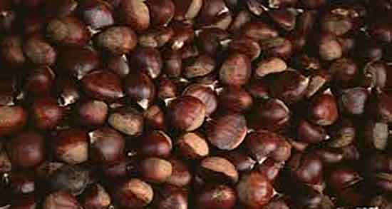 شاه بلوط و فشار خون و کنترل فشار خون بالا با خوردن شاه بلوط تازه شاه بلوط و فشار خون ؛ کنترل فشار خون بالا با خوردن شاه بلوط تازه