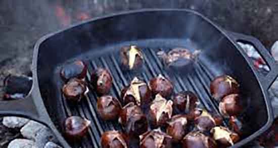 شاه بلوط چگونه بخوریم ؛ چگونه تلخی شاه بلوط را بگیریم بهتر است شاه بلوط چگونه بخوریم ؛ چگونه تلخی شاه بلوط را بگیریم بهتر است