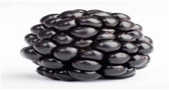 شاه توت و دیابت ؛ ایا مصرف شاه توت برای کنترل قند خون مفیده شاه توت و دیابت ؛ ایا مصرف شاه توت برای کنترل قند خون مفیده