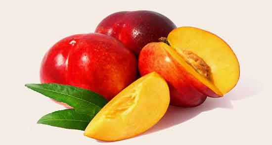 شلیل برای نوزادان ؛ خواص و مضرات دادن شلیل به نوزاد شلیل برای نوزادان ؛ خواص و مضرات دادن شلیل به نوزاد