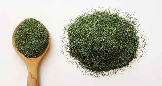 شوید و سرماخوردگی ؛ خاصیت مصرف دمنوش شوید برای درمان درد گلو