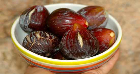 شیره انجیر چه خواصی دارد ؛ شیره درخت انجیر برای بدن چه خواصی دارد