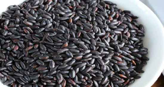 طبع برنج سیاه ؛ آشنایی با خواص درمانی و طبع برنج سیاه