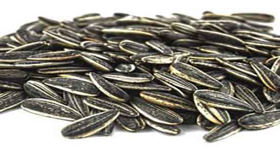 طبع تخمه آفتابگردان ؛ طبیعت تخمه افتابگردان گرم است یا سرد طبع تخمه آفتابگردان ؛ طبیعت تخمه افتابگردان گرم است یا سرد