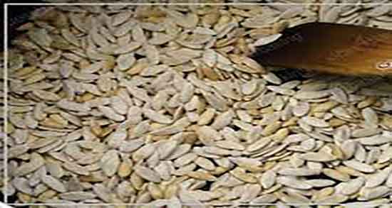 طبع تخمه خربزه ؛ طبیعت مصرف تخمه خربزه از نظر طب سنتی طبع تخمه خربزه ؛ طبیعت مصرف تخمه خربزه از نظر طب سنتی